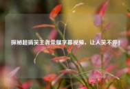 探秘超搞笑王者荣耀字幕视频，让人笑不停！