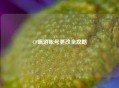 CF端游账号更改全攻略