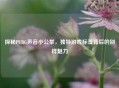 探秘PUBG声音小公举，独特游戏标签背后的别样魅力