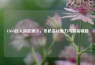 CSGO达人深度测评，揭秘游戏魅力与装备精髓