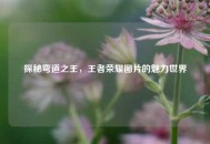 探秘弯道之王，王者荣耀图片的魅力世界