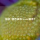 仙剑 7是否该等 Steam 版本？