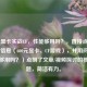 600元显卡实战CF，性能够用吗？，直接点出了核心信息（600元显卡、CF游戏），并用问句（性能够用吗？）点明了文章/视频探讨的核心问题，简洁有力。
