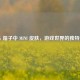 PUBG 箱子中 MINI 皮肤，游戏世界的独特魅力