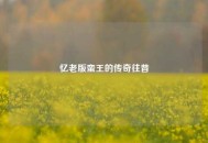 忆老版蛮王的传奇往昔