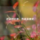 逆战回忆录，热血发展史