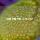 探秘神秘代码 cf1985187229