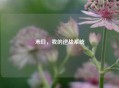 末日，我的逆战系统