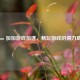 Steam 加加游戏加速，畅玩游戏的得力助手
