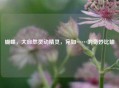 蝴蝶，大自然灵动精灵，宛如……的奇妙比喻