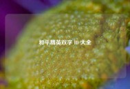 和平精英双字 ID 大全