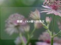 揭秘，CSGO里NT的含义