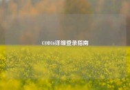 COD16详细登录指南