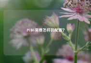 PUBG需要怎样的配置？