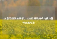 王者荣耀段位显示、社交标签及游戏内独特符号设置 *** 