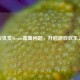 解决饥荒Steam覆盖问题，开启游戏欢乐之旅