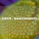 Steam 巫师世界，精彩解说领你领略奇幻魅力