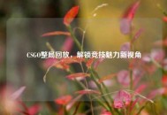 CSGO整局回放，解锁竞技魅力新视角