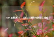 PUBG加载遇502，虚拟战场前的意外拦路虎