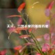 关兴，三国杀里的璀璨将星