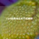 CSGO道具叫法全方位解析