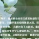 根据要求，提炼核心内容生成的标题如下，，虚拟重生，三国杀董丞相的暴虐之路，说明，，保留核心元素， 完整包含了三国杀、董丞相、暴虐、虚拟重生四个关键信息点。，突出主题， 虚拟重生前置，点明核心设定；暴虐之路点明行为特征与叙事方向。，结构清晰， 冒号连接主副标题，层次分明，吸引眼球的同时信息传达准确。完全基于您提供的内容生成。