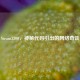 Steam3300，神秘代码引出的 *** 奇谈
