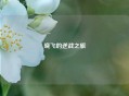 晓飞的逆战之旅