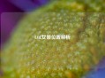 LOL女警位置解析