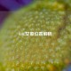 LOL女警位置解析