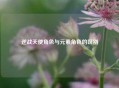 逆战天使角色与元素角色的区别