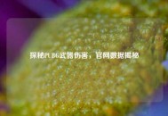 探秘PUBG武器伤害，官网数据揭秘