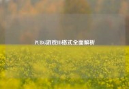 PUBG游戏ID格式全面解析