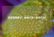 逆战宠物箱子，超值之选，价格几何？