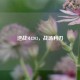 逆战M4203，战场利刃