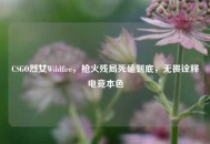 CSGO烈女Wildfire，枪火残局死磕到底，无畏诠释电竞本色