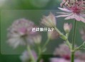 逆战像什么？