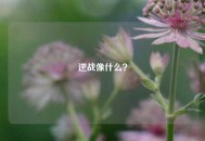 逆战像什么？
