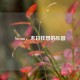 Steam，末日狂想的乐园