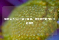 探秘茄子CSGO开箱子视频，感受游戏魅力与开箱***