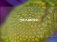 逆战之暴风传奇