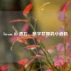 Steam ID 遗忘，数字世界的小危机