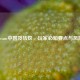 Steam中国及转区，玩家必知要点与风险