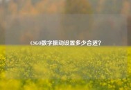 CSGO数字振动设置多少合适？