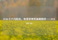 PUBG十六与粉丝，电竞世界的温暖羁绊——PUBGM S16