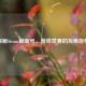 探秘Steam刷新号，游戏世界的灰色地带