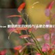 Steam 翻墙跨区的风险与法律边界探讨