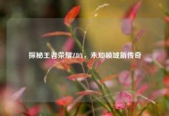 探秘王者荣耀ZDX，未知领域新传奇
