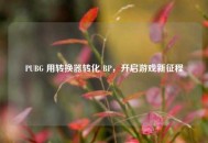 PUBG 用转换器转化 BP，开启游戏新征程