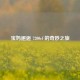 宝妈邂逅 7200cf 的奇妙之旅